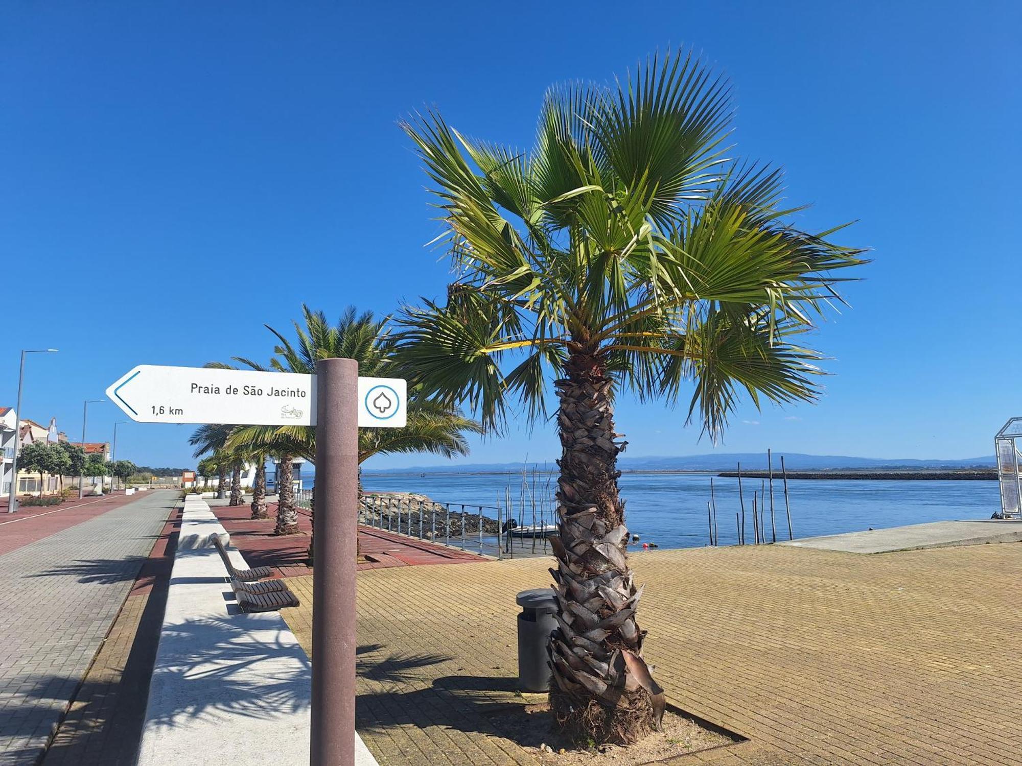 Apartment Close To The Ria De Aveiro, Sao Jacinto Dış mekan fotoğraf